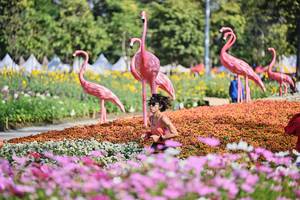 BIB: 
                            <button type="button" onclick="openModal(27805612)" class="btn btn-primary btn-sm float-right btn-popup" data-toggle="modal" data-target=".modal-high-quality">
                        <i class="fas fa-shopping-cart"></i> Add to Cart
                    </button>
                                            <button type="button" onclick="isThisMe(27805612, true)" class="btn btn-success btn-sm float-right btn-popup btn-isme hidden" data-toggle="tooltip" data-placement="bottom" title="นี่คือรูปของคุณใช่ไหม คลิกที่นี่เพื่อเอาเข้าอัลบั้ม">
                        <i class="fas fa-plus"></i> Add to album
                    </button>
                    <button type="button" onclick="isThisMe(27805612, false)" class="btn btn-warning btn-sm float-right btn-popup btn-isnotme hidden">
                        <i class="fas fa-ban"></i> Remove from album
                    </button>